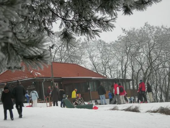 Skiclub Hollabrunn – Galeriebild A-1