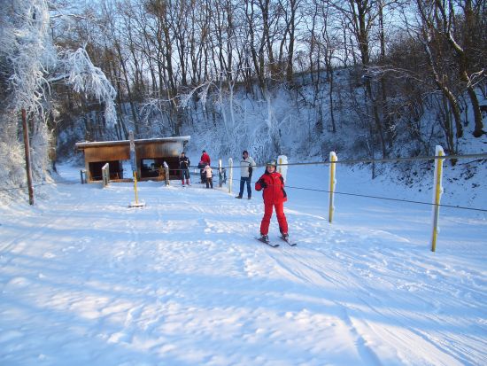 Skiclub Hollabrunn – Galeriebild F