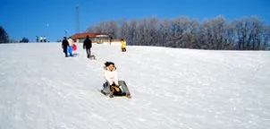 Rodeln – Skiclub Hollabrunn