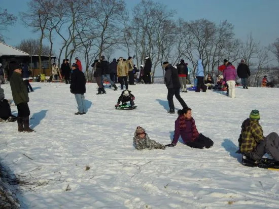 Skiclub Hollabrunn – Galeriebild SG